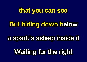that you can see
But hiding down below
a spark's asleep inside it

Waiting for the right