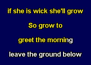 if she is wick she'll grow

80 grow to
greet the morning

leave the ground below