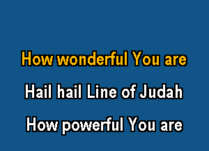 How wonderful You are

Hail hail Line ofJudah

How powerful You are