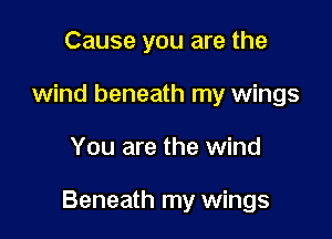 Cause you are the
wind beneath my wings

You are the wind

Beneath my wings