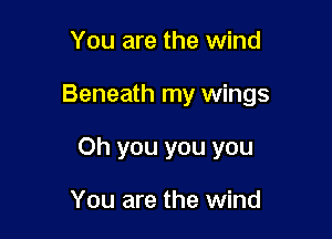 You are the wind

Beneath my wings

Oh you you you

You are the wind