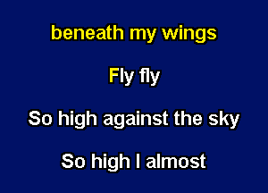 beneath my wings

Fly fly

80 high against the sky

80 high I almost