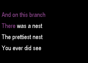 And on this branch

There was a nest

The prettiest nest

You ever did see