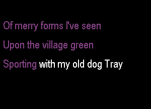 Of merry forms I've seen

Upon the village green

Sporting with my old dog Tray