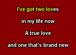 I've got two loves

in my life now

A true love

and one that's brand new