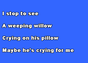 I stop to see
A weeping willow

trying on his pillow

Maybe he's crying for me