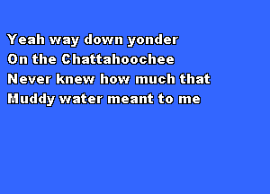 Yeah way down yonder
0n the Chattahoochee

Never knew how much that

Muddy water meant to me