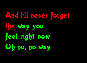 And I'll DeVer forget
the way you

feel right now
Ob no, no Way