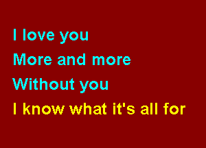 I love you
More and more

Without you
I know what it's all for