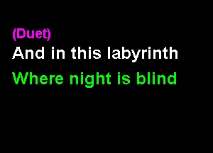(Duet)
And in this labyrinth

Where night is blind