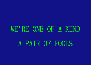 WE RE ONE OF A KIND

A PAIR OF FOOLS