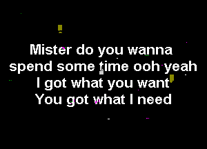 Mister do you wanna
spend some time ooh yeah

I got what you wantII
You got what I need