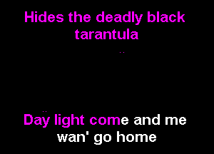 Hides the deadly black
tarantula

Day light come and me
wan' go home