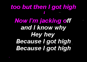 too but then I got high

Now I 'm iacking off
and I know why
Hey hey
Because I got high
Because I got high