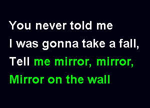 You never told me
I was gonna take a fall,

Tell me mirror, mirror,
Mirror on the wall