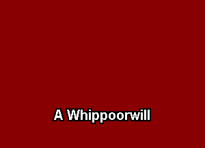A Whippoorwill