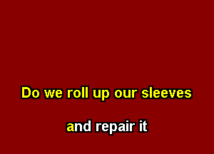 Do we roll up our sleeves

and repair it