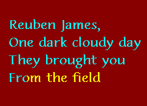 Reuben James,
One dark cloudy day

They brought you
From the field