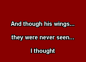 And though his wings...

they were never seen...

Ithought