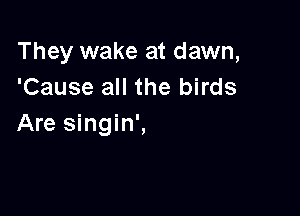 They wake at dawn,
'Cause all the birds

Are singin',