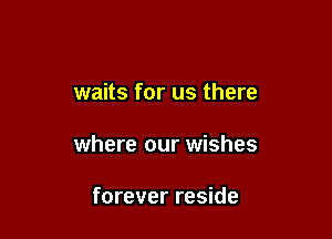 waits for us there

where our wishes

forever reside