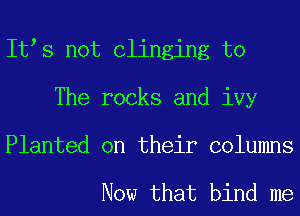 Itts not clinging to
The rocks and ivy
Planted on their columns

Now that bind me