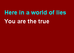 Here in a world of lies
You are the true