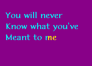 You will never
Know what you've

Meant to me