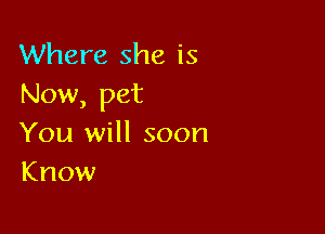 Where she is
Now, pet

You will soon
Know
