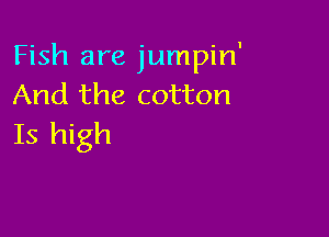 Fish are jumpin'
And the cotton

Is high