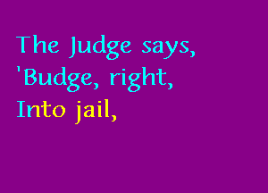 The Judge says,
'Budge, right,

Into jail,