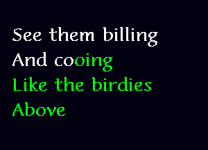 See them billing
And cooing

Like the birdies
Above