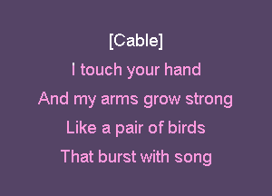 ICablel

I touch your hand

And my arms grow strong

Like a pair of birds
That burst with song