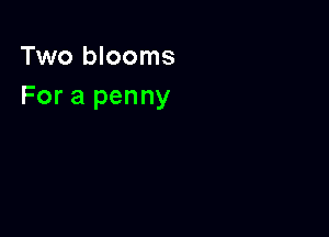 Two blooms
For a penny