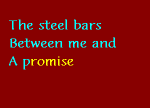The steel bars
Between me and

A promise