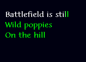Battlefield is still
Wild poppies

On the hill
