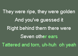 They were ripe, they were golden
And you've guessed it
Right behind them there were
Seven other ears

Tattered and torn, uh-huh oh yeah