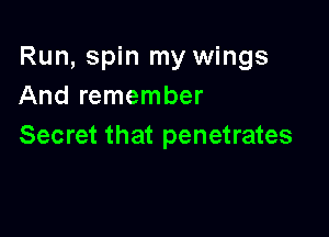 Run, spin my wings
And remember

Secret that penetrates