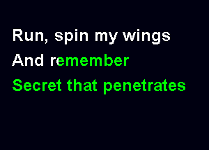 Run, spin my wings
And remember

Secret that penetrates