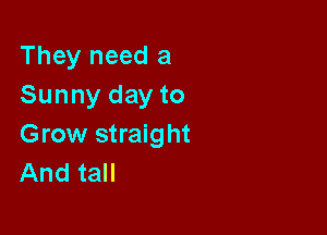 They need a
Sunny day to

Grow straight
And tall