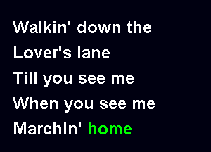 Walkin' down the
Lovefslane

Till you see me
When you see me
Marchin' home