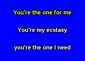 You're the one for me

You're my ecstasy

you're the one I need