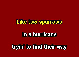 Like two sparrows

in a hurricane

tryin' to find their way
