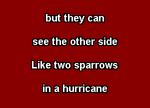 but they can

see the other side

Like two sparrows

in a hurricane