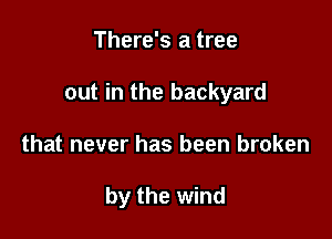 There's a tree

out in the backyard

that never has been broken

by the wind