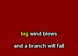 big wind blows

and a branch will fall
