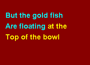 But the gold fish
Are floating at the

Top of the bowl