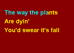 The way the plants
Are dyin'

You'd swear it's fall