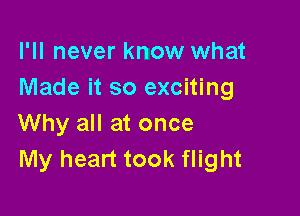 I'll never know what
Made it so exciting

Why all at once
My heart took flight