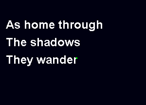 As home through
The shadows

They wander